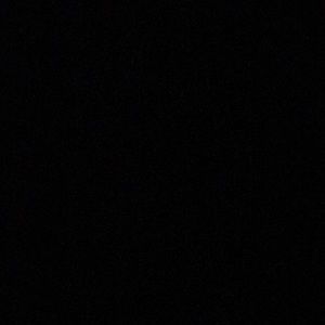 Meet your Posher, Pat